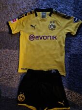 Borussia dortmund 2019 gebraucht kaufen  Ansbach