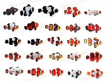 Assorted clown fish for sale  Los Angeles