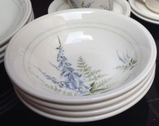 Biltons foxglove bowls for sale  HAYLING ISLAND
