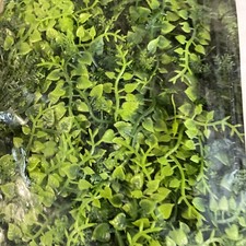 X20 artificial boxwood for sale  Higbee