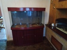 Bow front aquarium for sale  PRESTONPANS