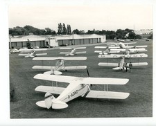 tiger moth for sale tiger moth for sale FELTHAM