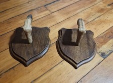 Scottish roe deer for sale  CRIEFF