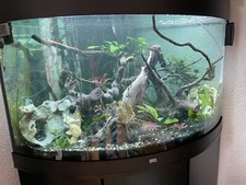 Juwel eckaquarium 190l gebraucht kaufen  Lörrach