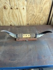 Mounted steer horns for sale  Palatine