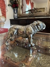 Silver english bulldog for sale  CHESTER