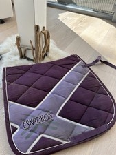 eskadron violett schabracke gebraucht kaufen eskadron violett schabracke gebraucht kaufen  Gifhorn