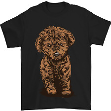 Dogs cute labradoodle for sale  COVENTRY