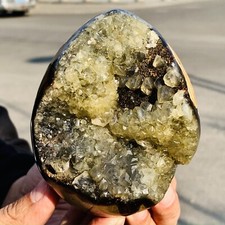 2.02lb natural turtle for sale  Burlington