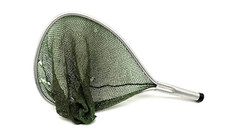 Vintage aluminum trout for sale  Gillette