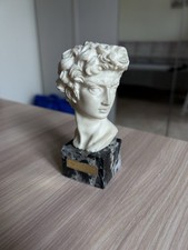 Statua della testa usato  Vigevano