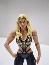 2010 wwf wwe for sale  Port Clinton