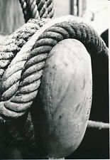 Palerme 1937 photo d'occasion  Ballon