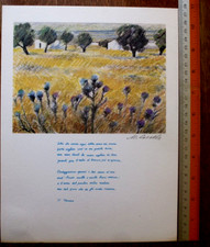 Fotolitografia bolaffi arte usato  Russi