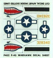 Curtiss 40n warhawk usato  Porcari