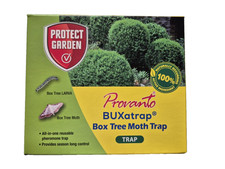 Box tree moth for sale  SUTTON COLDFIELD