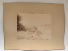 Photo albumine prairie d'occasion  Nantes-