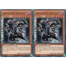 Granmaestro ninja hanzo usato  Ravenna