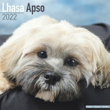 Calendrier 2022 lhassa d'occasion  Troyes