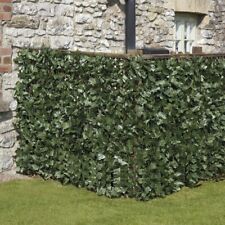 Dakota fields celise for sale  BRADFORD