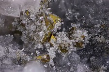 Rhabdophan chalkopyrit grube gebraucht kaufen  Reutlingen