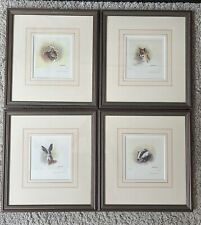 Mandy shepherd animal for sale  PURLEY