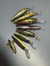 Illex squirrel megabass gebraucht kaufen  Werneuchen
