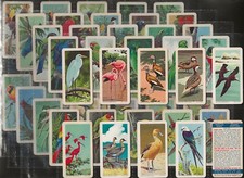 Brooke bond full for sale  COLNE