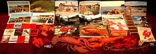 lobster toy for sale lobster toy for sale Rochester