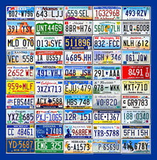 50 ESTADOS CONJUNTO DE PLACAS DE EE.UU. LOTE EN CONDICIONES ARTESANALES segunda mano  Embacar hacia Mexico
