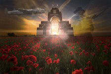 Lancaster poppy fields for sale  SPALDING