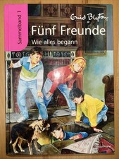 Freunde sammelband jugendroman gebraucht kaufen  Grünhufe,-Lüdershagen