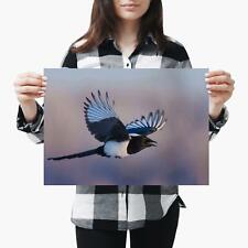 Flying eurasian magpie for sale  SELBY