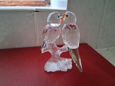 Swarovski budgies feathered for sale  TADLEY