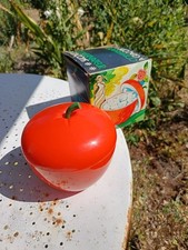 Bac glaçons pomme d'occasion  Chancelade