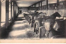 Lamballe san27757 haras d'occasion  France