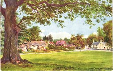Cartão postal Swan Green New Forest Lyndhurst F.E.Q Artist J. Salmon  comprar usado  Enviando para Brazil