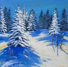 Enchanted snow original d'occasion  Expédié en Belgium