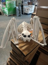 Large spider skeleton for sale  RUNCORN