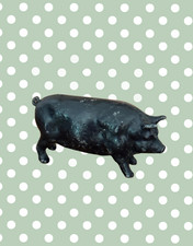 Medium black pig for sale Medium black pig for sale  CRANLEIGH