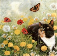 Servietten katze schmetterling gebraucht kaufen  Reutlingen