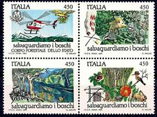 conigli selvatici usato conigli selvatici usato Trambileno