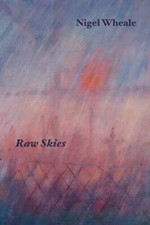 Raw skies new gebraucht kaufen  Stuttgart