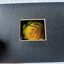 Vintage 1990s blooming for sale  Eureka