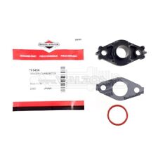 Riginal briggs stratton gebraucht kaufen  Grafenau