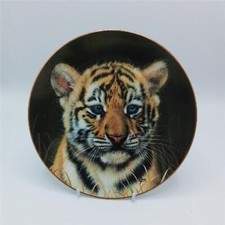 Princeton gallery tiger for sale  CARLISLE