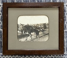 Vintage 1920s harness for sale  RYDE
