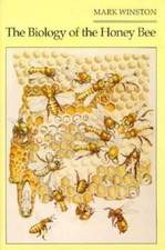 Biology honey bee for sale  Aurora