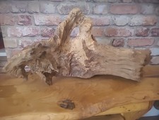 Aquarium cornish oak for sale  TRURO