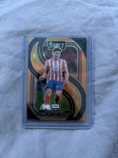 Julián álvarez panini gebraucht kaufen  Dürbheim